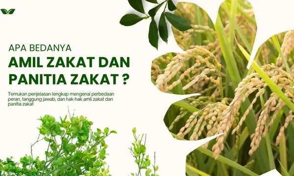 Inilah Perbedaan Antara Panitia Zakat dan Amil Zakat