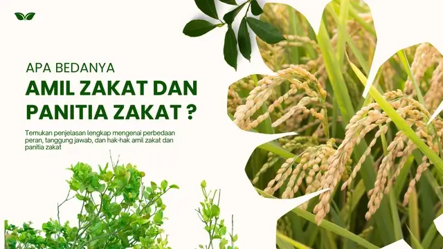 Inilah Perbedaan Antara Panitia Zakat dan Amil Zakat